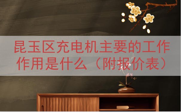 昆玉区充电机主要的工作作用是什么（附报价表）